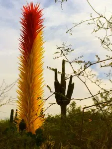 Chihuly Exhibit, Desert Botanical Gardens, 10 BEST Adventurous Things to Do in Phoenix