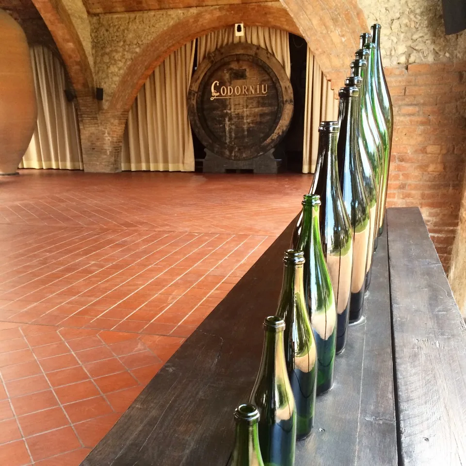 Exclusive Luxury Cava and Wine Tour In Spain