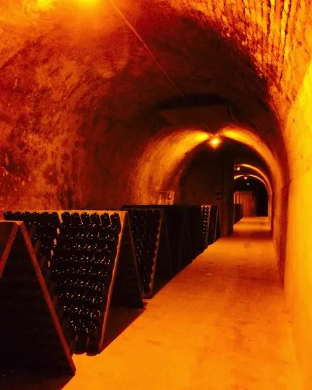 Exclusive Luxury Cava and Wine Tour In Spain