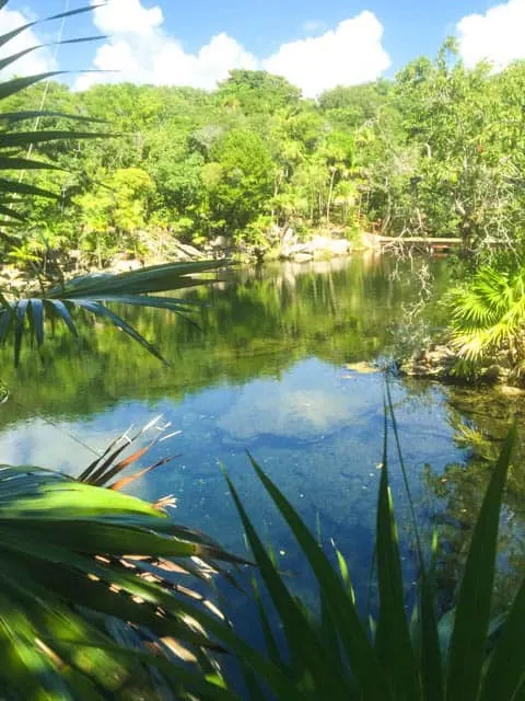 Peaceful pond