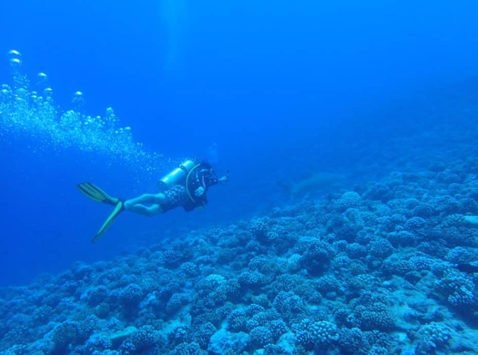 scuba-diving-in-french-polynesia