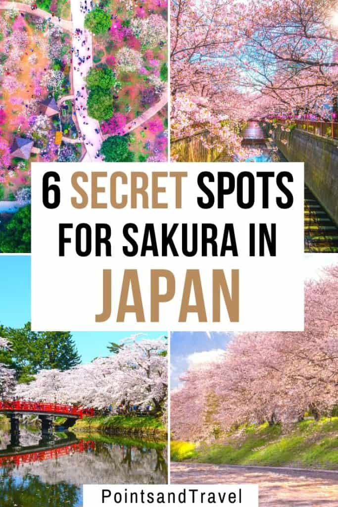 Most Underrated Japanese Cherry Blossom Spots