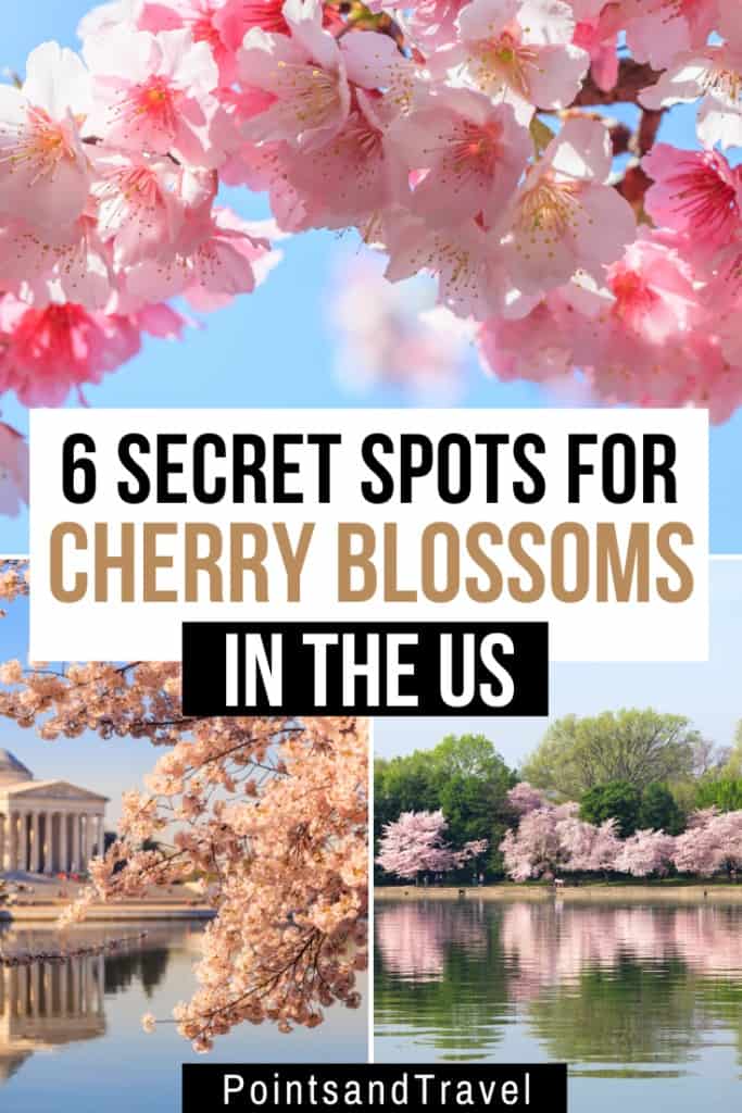 Secret Places to See Cherry Blossoms in the US