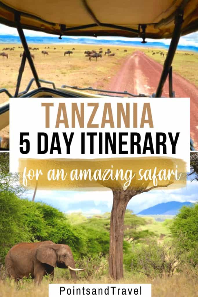 5-Day Safari In Tanzania: The Most Epic Itinerary!