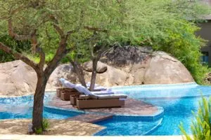 Luxury African safari, Serengeti safari, African adventures, African wildlife safari, luxury safari, visit the Serengeti, #Africa #Serengeti #Safari, best spa in Arizona