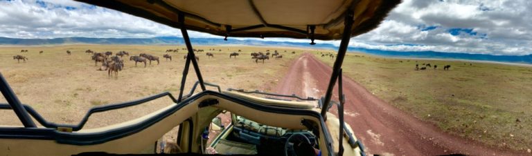 5-Day Safari In Tanzania: The Most Epic Itinerary!