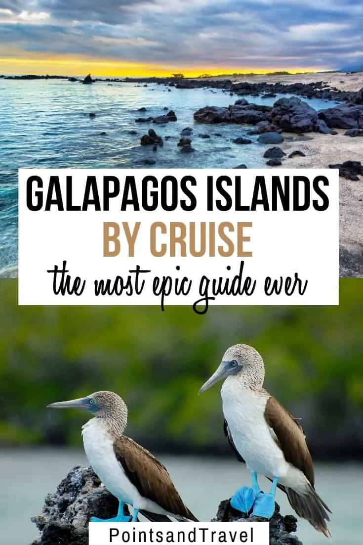 Galapagos Islands By Cruise: A Complete Guide