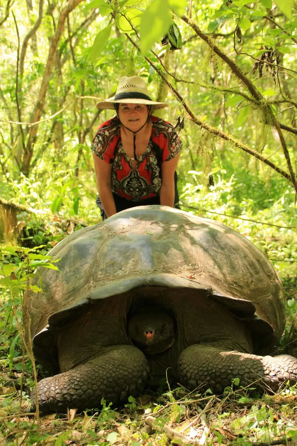 Best Time to Visit the Galapagos, best time to travel to galapagos, best time of year to visit Galapagos, best time to go to Galapagos Islands, Best time to visit the Galapagos Islands,