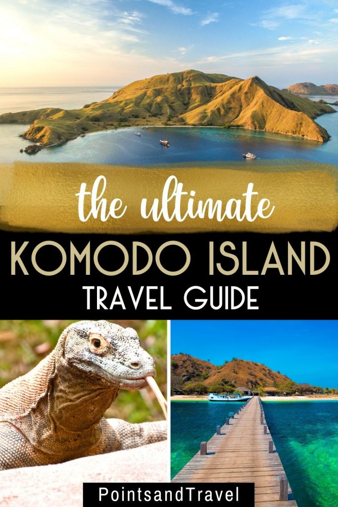 Komodo Island: Inside the Dragon's Lair