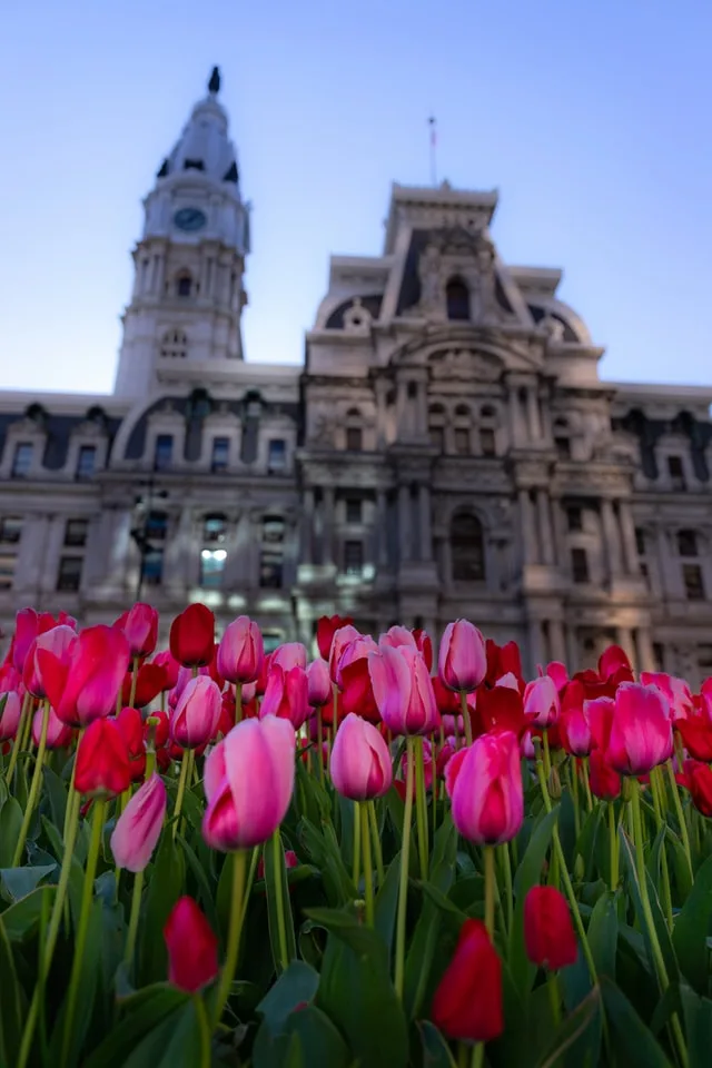 City Hall with Flowers, One Day in Philadelphia, #philadelphia #Pennsylvania