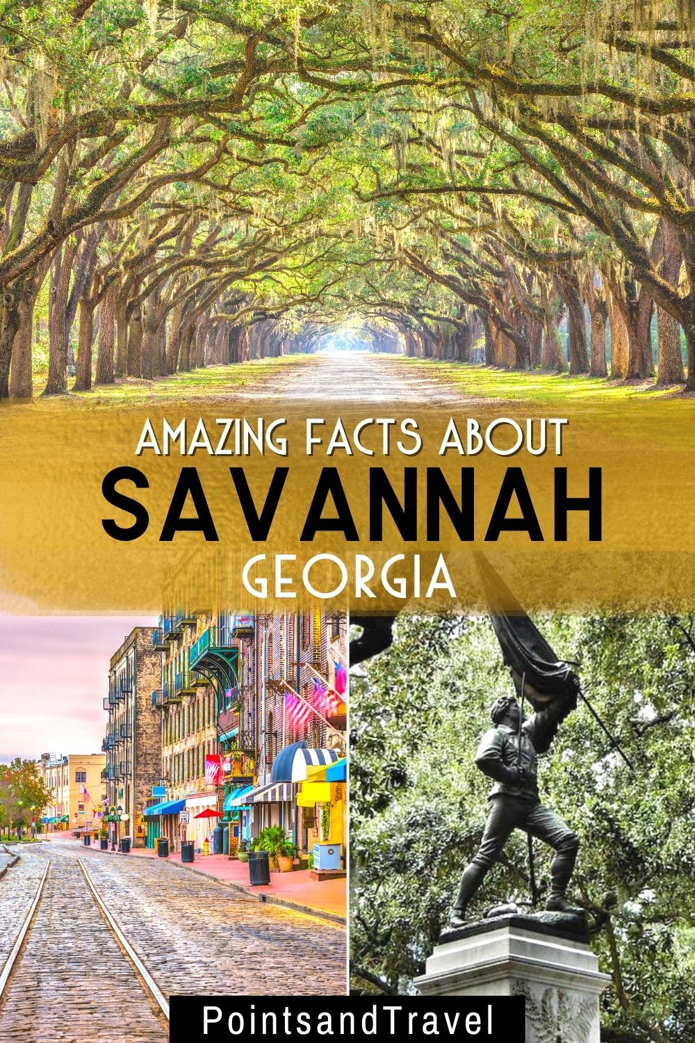 Interesting Facts about Savannah (Georgia)