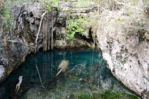 Ultimate List Of The Best Cenotes in Mexico