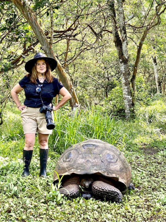 How to Get to the Galapagos Islands - Flights, Airports, Costs