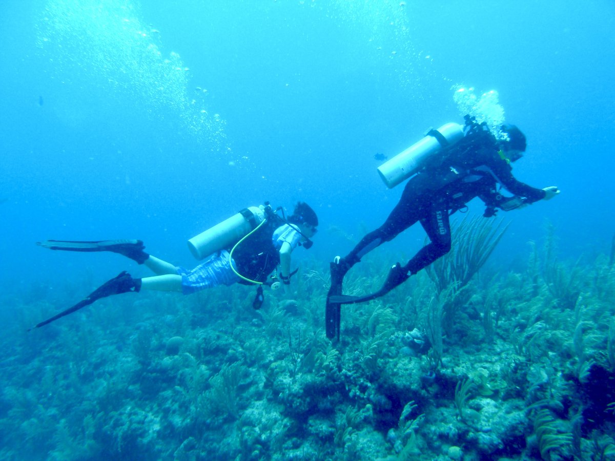 best diving in cancun