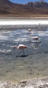 You Need to Know About the Uyuni Salt Flats