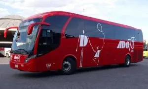 ADO BUS